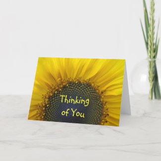 Macro Sunflower Thinking of you Card