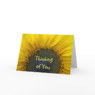 Macro Sunflower Thinking of you Card