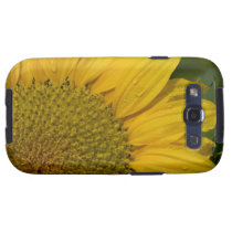 Macro Sunflower With Raindrops Samsung Galaxy SIII Cases