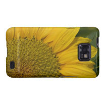 Macro Sunflower With Raindrops Samsung Galaxy Covers