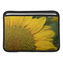 Macro Sunflower With Raindrops Sleeves For MacBook Air