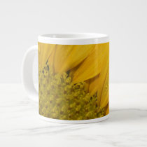 Macro Sunflower With Raindrops Jumbo Mugs