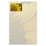 Macro Sunflower With Raindrops Stationery