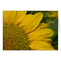 Macro Sunflower With Raindrops Thank You Card