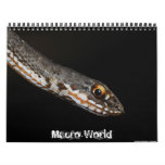 Macro World 2011 Calendar