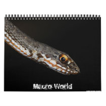 Macro World 2011 Calendar