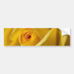 Macro Yellow Rose Bumper Stickers