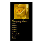 Macro Yellow Rose business cards