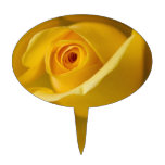 Macro Yellow Rose Cake Pick