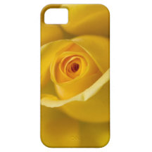 Macro Yellow Rose iPhone 5 Covers