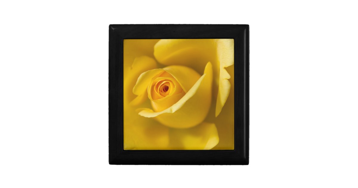 Macro Yellow Rose Jewelry Box Zazzle