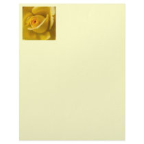 Macro Yellow Rose Letterhead Template