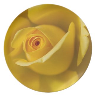 Macro Yellow Rose Party Plate