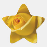Macro Yellow Rose Stickers