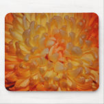 Macros Autumn Spider Pom Mousepads Macros Autumn Spider Pom Mousepads