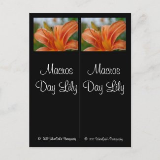 Macros Day Lily Bookmarkers Postcard postcard