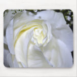Macros White Rose-Jun2011 Mousepad