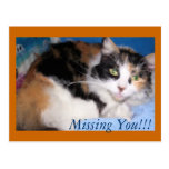 Macy girl oil painting, Missing You!!! postcard