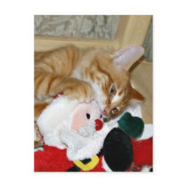 Mad at Santa postcards