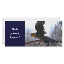 Mad Bird Rack Cards