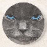 Mad Cat Coasters