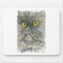 mad cat mouse mat