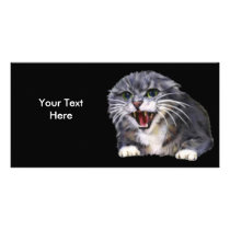 Mad Gray Cat Photo Card