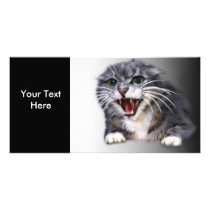 Mad Gray Cat Photo Card