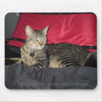 Mad Kitty Mousepad by MLCinCC Mad Kitty Mousepad