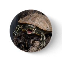 Mad Turtle Button by buffaloworks Mad Turtle Button