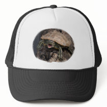 Mad Turtle Hat