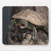 Mad Turtle Mousepad by buffaloworks Mad Turtle Mousepad