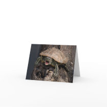 Mad Turtle Note Card