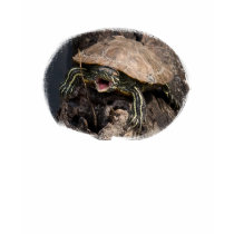 Mad Turtle t-shirts by buffaloworks Mad Turtle t-shirts