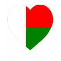 Madagascar Flag Heart t-shirts by Vexillophile Madagascar Flag Heart t-shirts