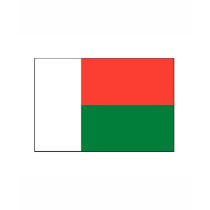 Madagascar FLAG International t-shirts by flagshirt Madagascar FLAG International t-shirts