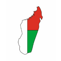 Madagascar flag map t-shirts by FlagStore Madagascar flag map t-shirts