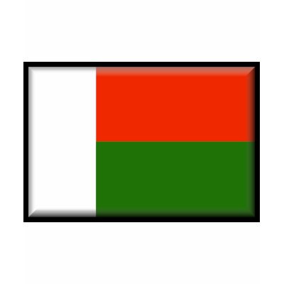 Madagascar Flag Tee Shirts by jacinto888