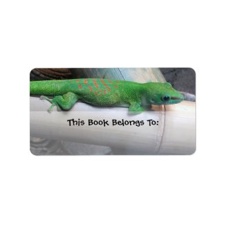 Madagascar Giant Day Gecko Bookplate Labels label