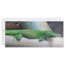 Madagascar Giant Day Gecko Photo Bookmark Rack Card Design