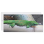 Madagascar Giant Day Gecko Photo Bookmark rack cards