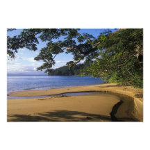 Madagascar, Nosy Mangabe Special Reserve, on Photo Art