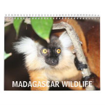 Madagascar Wildlife Wall Calendars
