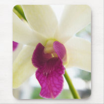 Madame Orchid mousepads