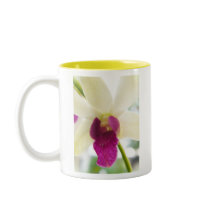 Madame Orchid mugs