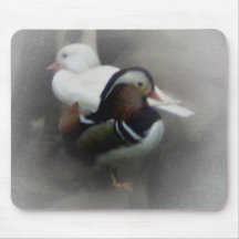 Madarin Duck and Friend Mouse Pad