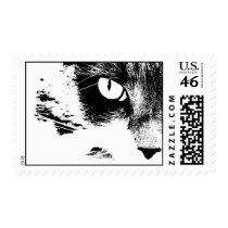 maddie black and white stamp
