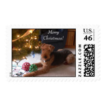 Maddie says, "Merry Christmas!" Postage Stamps