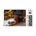 Maddie says, "Merry Christmas!" postage