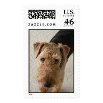 Maddie Stamp by hopefulone Maddie Stamp